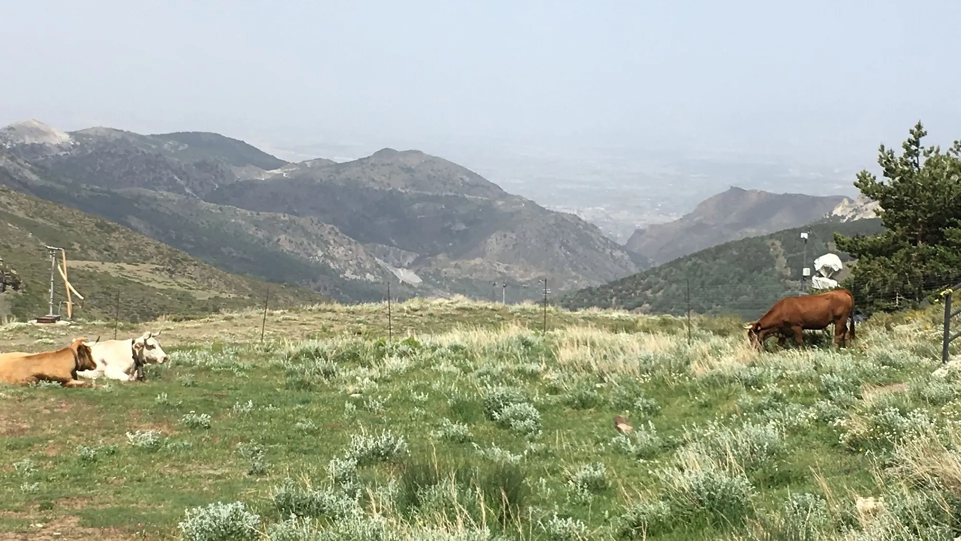 Inside Plaza Sierra Nevada Διαμέρισμα 0*,